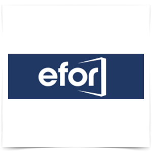 Efor